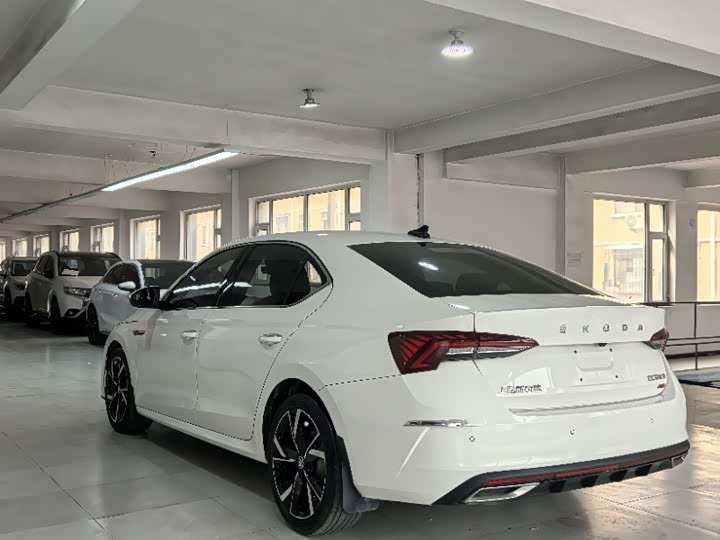 Фото 5 - Skoda Octavia Pro