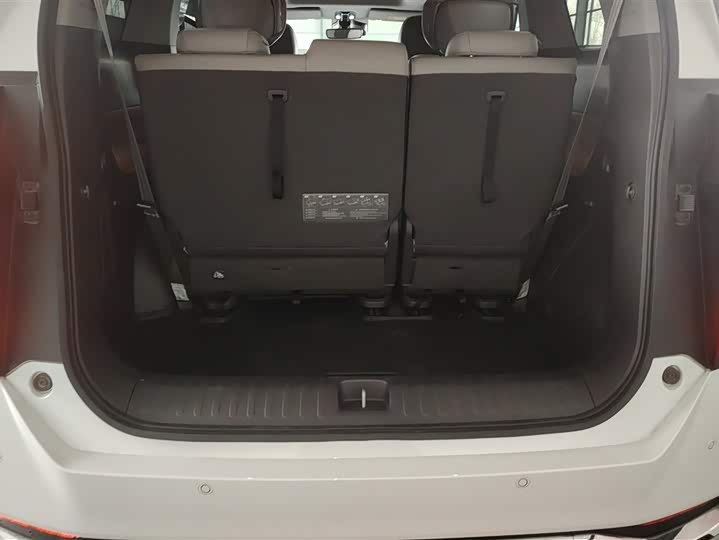 Фото 4 - GAC Trumpchi M8