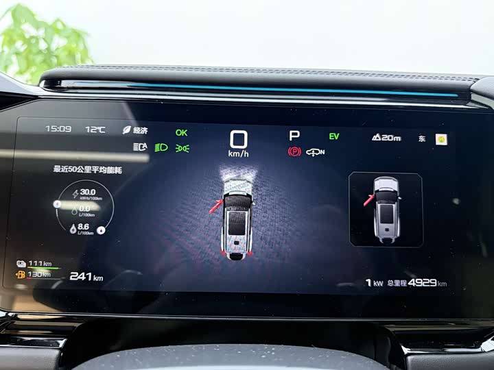 Фото 9 - BYD FangChengBao Leopard 8