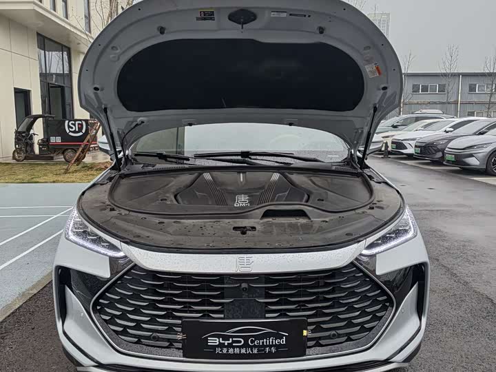 Фото 2 - BYD Tang Hybrid/EV