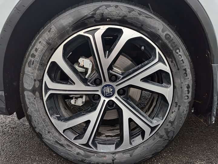 Фото 4 - BYD Tang Hybrid/EV