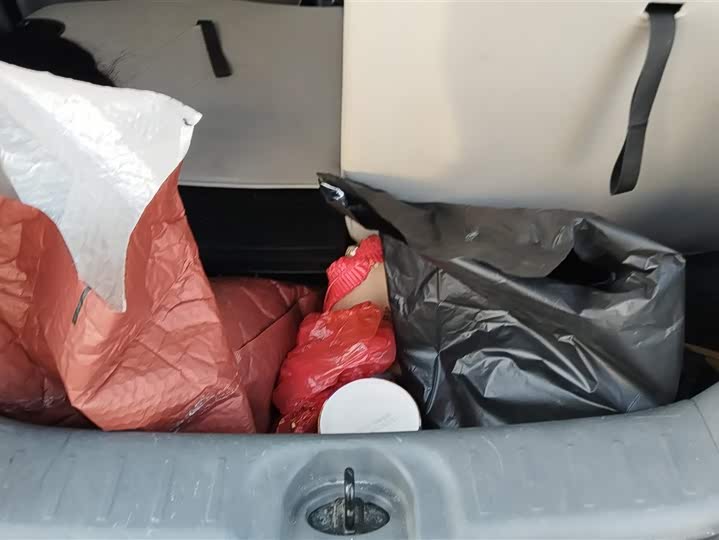 Фото 3 - Changan Qiyuan (Nevo) Lumin