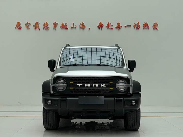 Фото 2 - Tank 300