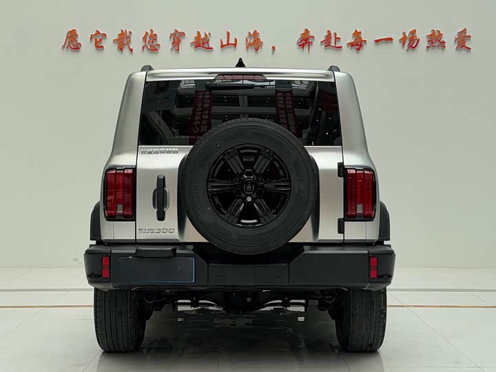 Фото 8 - Tank 300