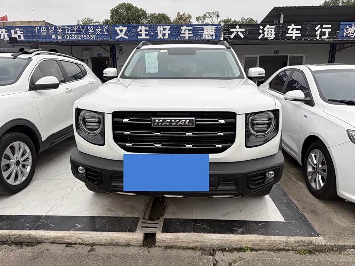 Фото 2 - Haval Dargo