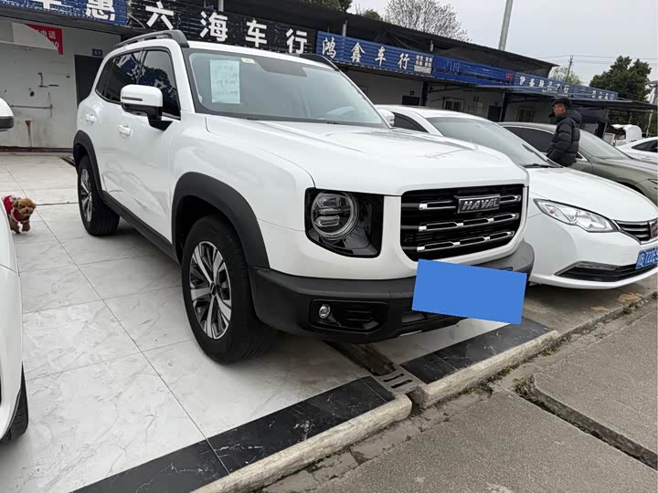 Фото 3 - Haval Dargo