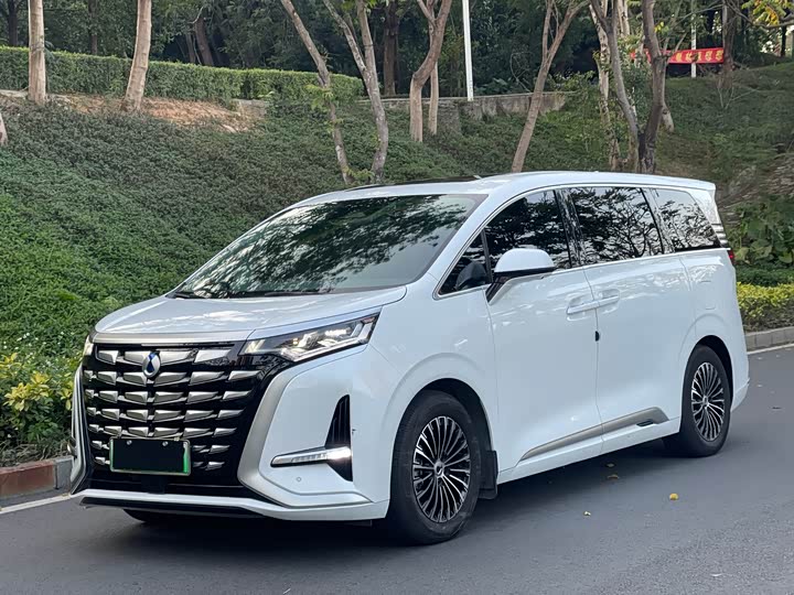 Фото 1 - Denza D9