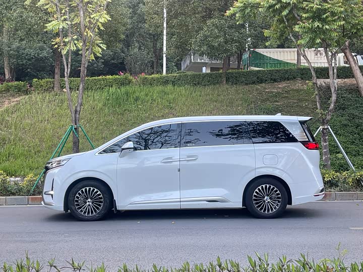 Фото 2 - Denza D9