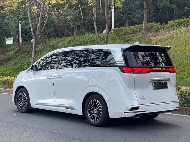 Фото 3 - Denza D9