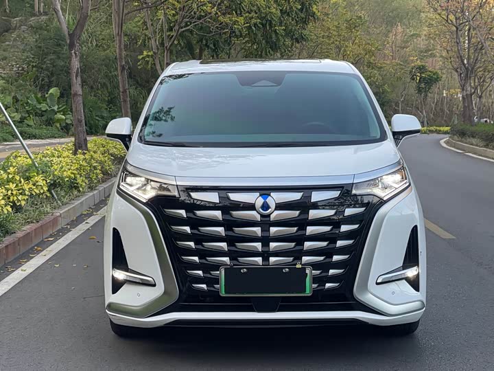 Фото 4 - Denza D9