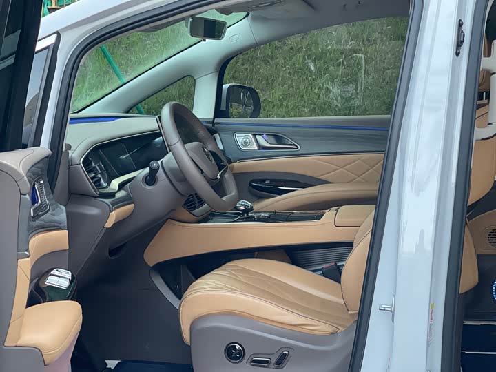 Фото 6 - Denza D9