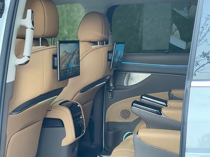 Фото 7 - Denza D9