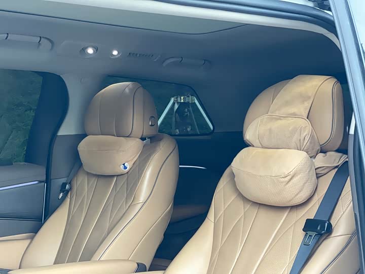 Фото 8 - Denza D9