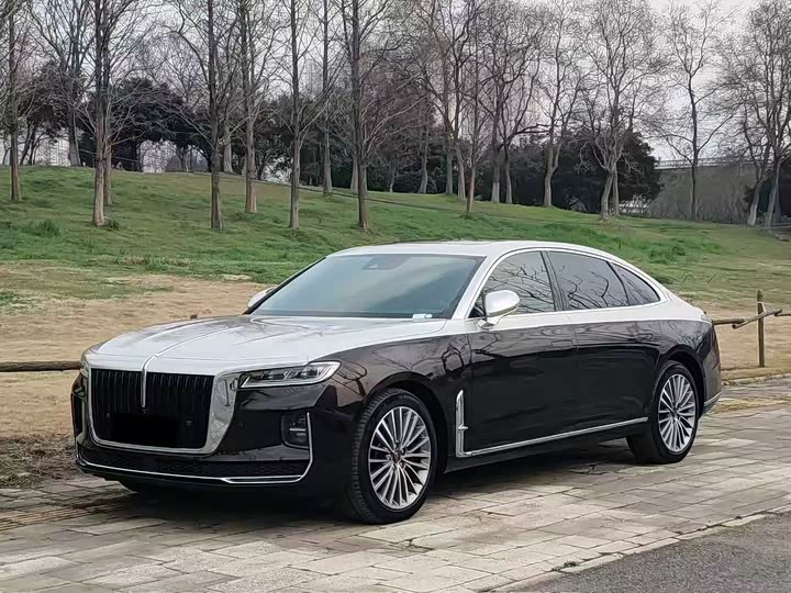 Фото 1 - Hongqi H9