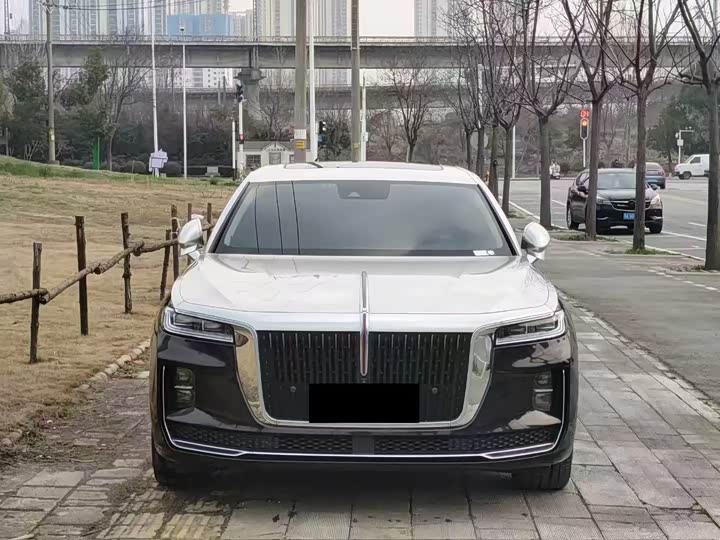 Фото 2 - Hongqi H9