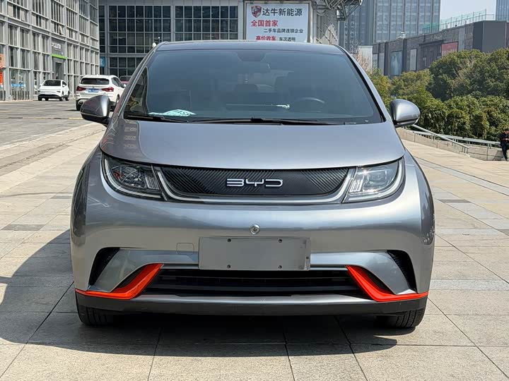 Фото 1 - BYD Dolphin