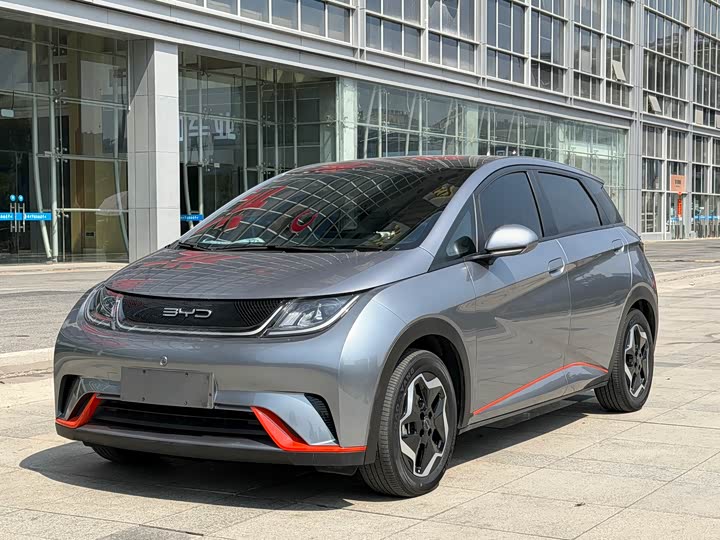 Фото 3 - BYD Dolphin