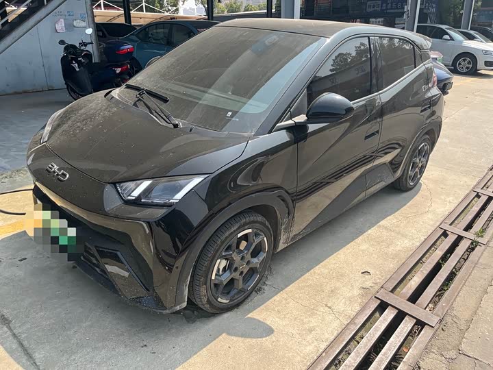 Фото 1 - BYD Seagull