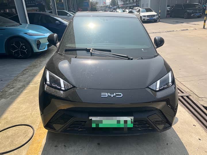 Фото 2 - BYD Seagull