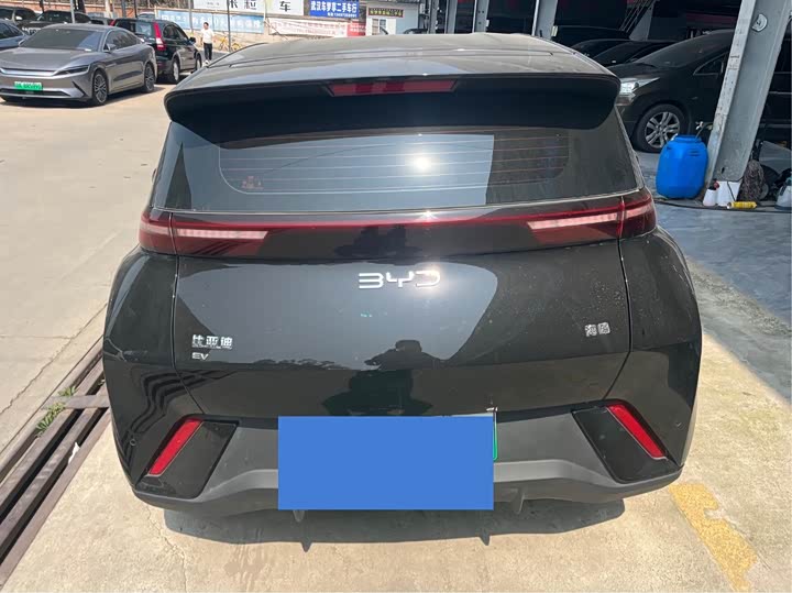 Фото 9 - BYD Seagull