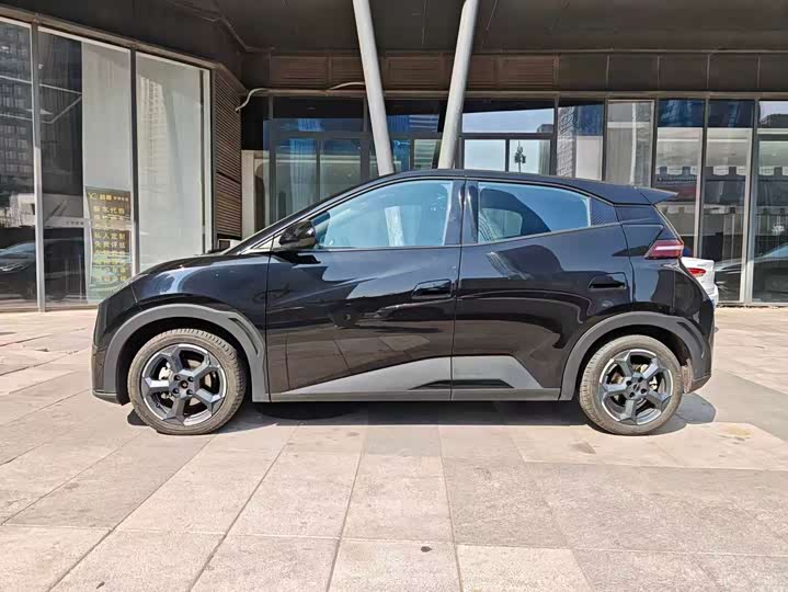 Фото 3 - BYD Seagull