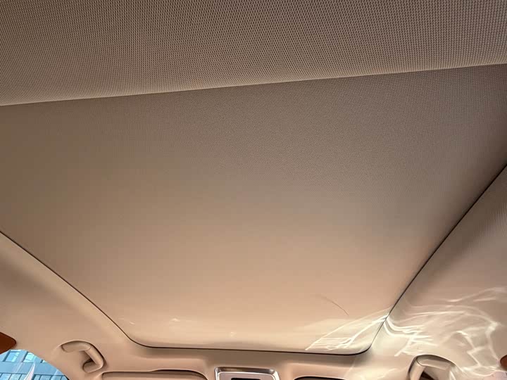 Фото 7 - Hongqi H9