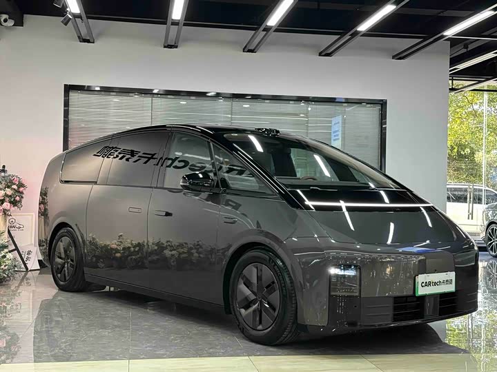 Фото 3 - LiXiang Mega