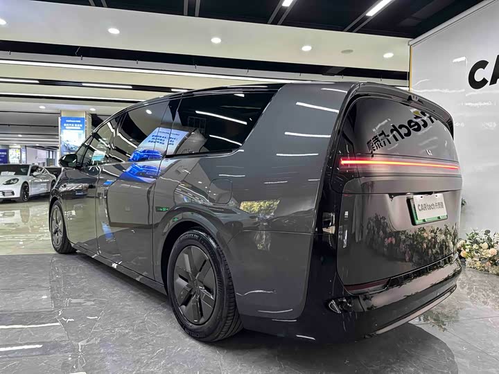 Фото 6 - LiXiang Mega