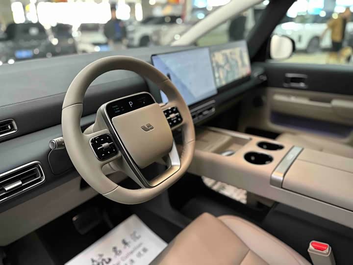 Фото 9 - LiXiang Mega