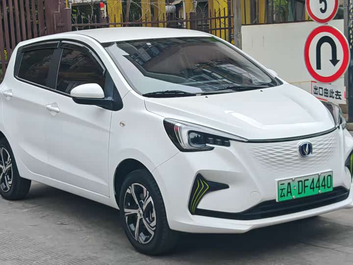 Фото 3 - Changan BenBen E-Star