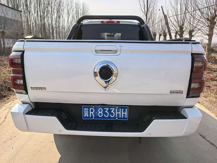 Фото 5 - Great Wall King Kong Poer