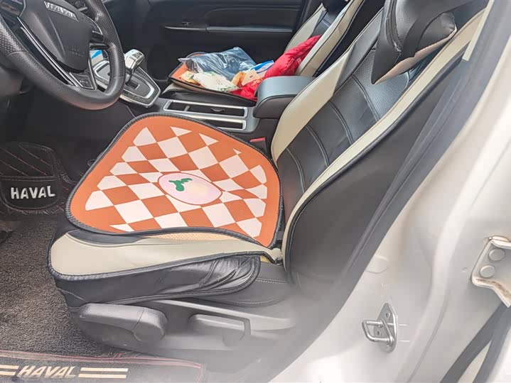 Фото 9 - Haval M6