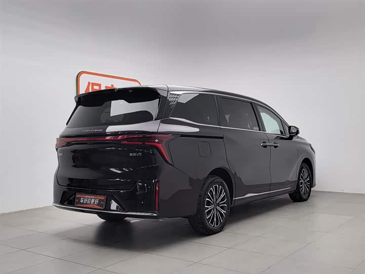 Фото 2 - Dongfeng Forthing Xinghai V9