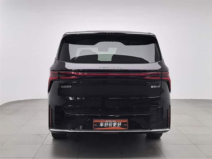 Фото 4 - Dongfeng Forthing Xinghai V9
