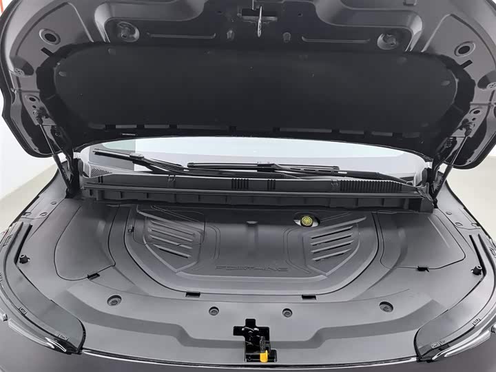 Фото 6 - Dongfeng Forthing Xinghai V9