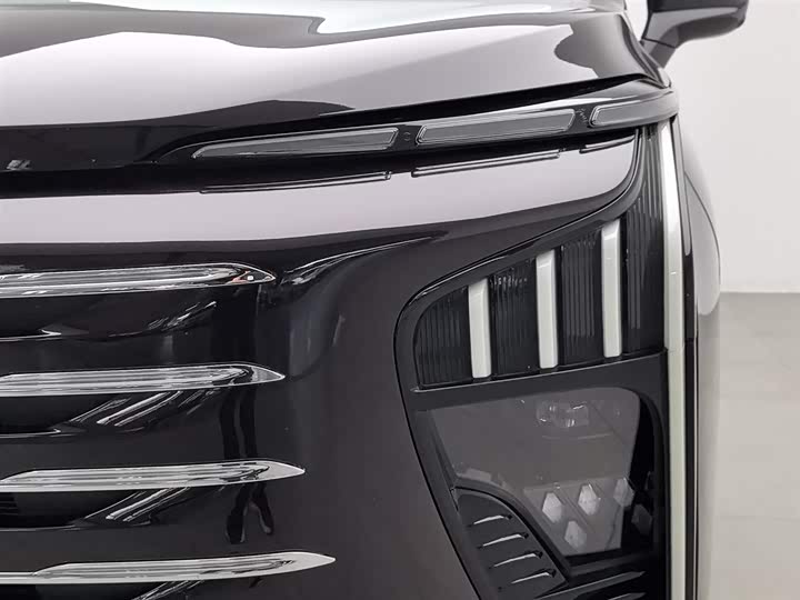 Фото 7 - Dongfeng Forthing Xinghai V9