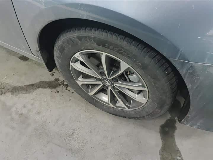 Фото 6 - BYD Qin Plus