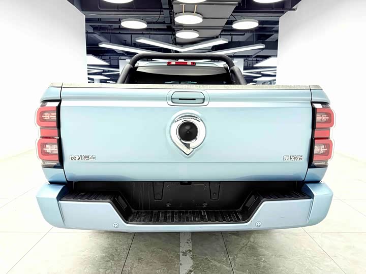 Фото 5 - Great Wall King Kong Poer