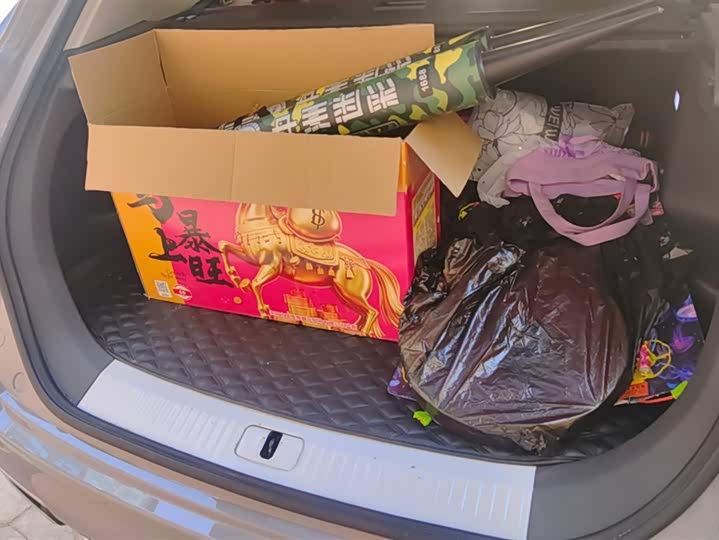 Photo 4 - Hongqi HS5