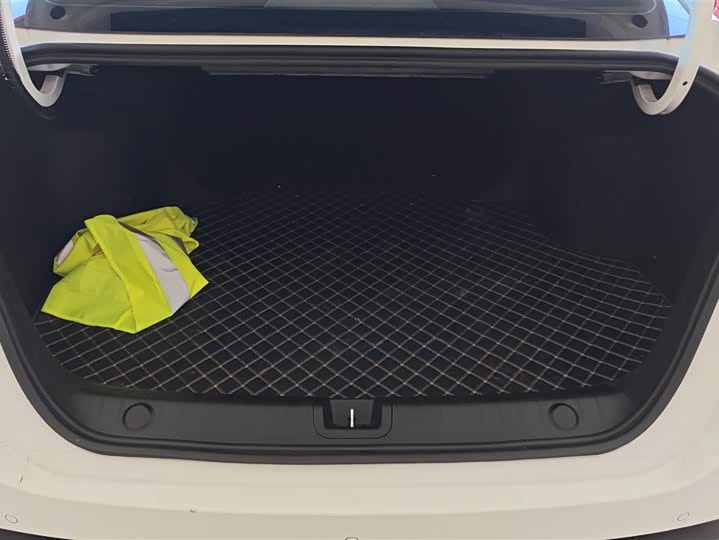 Фото 4 - Geely Binrui