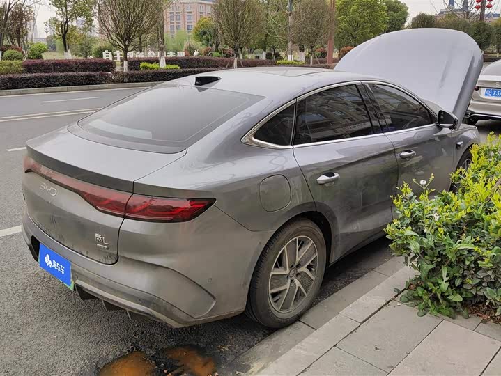 Фото 3 - BYD Qin L