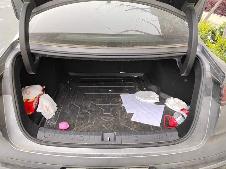 Фото 4 - BYD Qin L