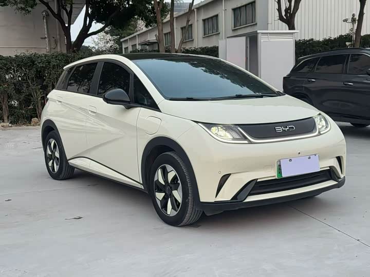 Фото 3 - BYD Dolphin