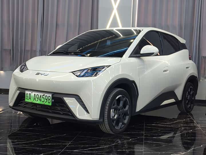 Фото 1 - BYD Seagull