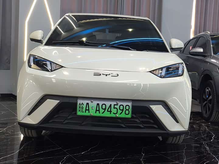 Фото 2 - BYD Seagull