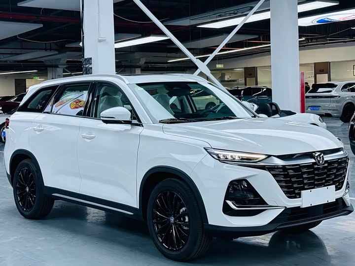 Фото 3 - Changan CS75