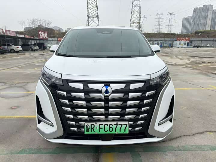 Фото 1 - Denza D9