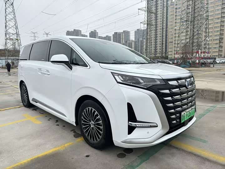 Фото 3 - Denza D9