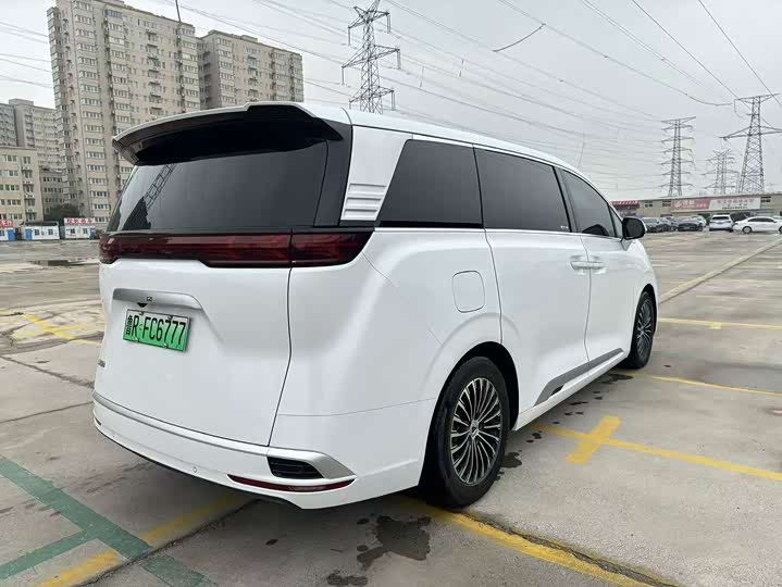 Фото 6 - Denza D9