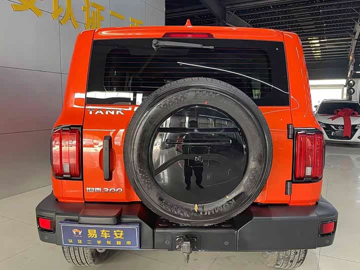 Фото 4 - Tank 300